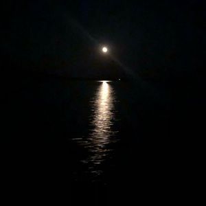 Meet your Posher, Chelsea